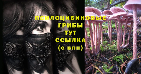 тгк Алексеевка