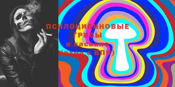 ECSTASY Михайлов